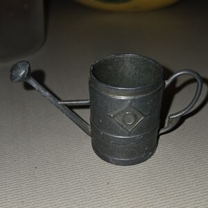 Metallic Watering Can